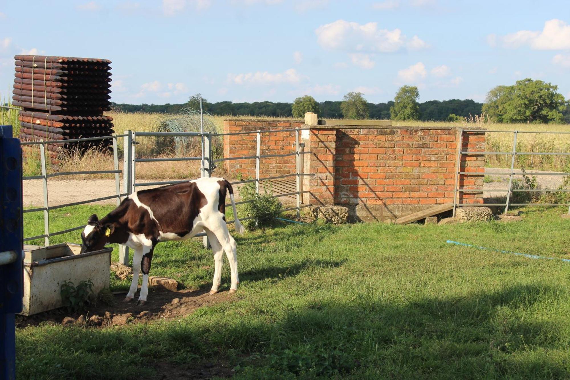Parkfields Barns Self Catering Accommodation บักกิงแฮม ภายนอก รูปภาพ