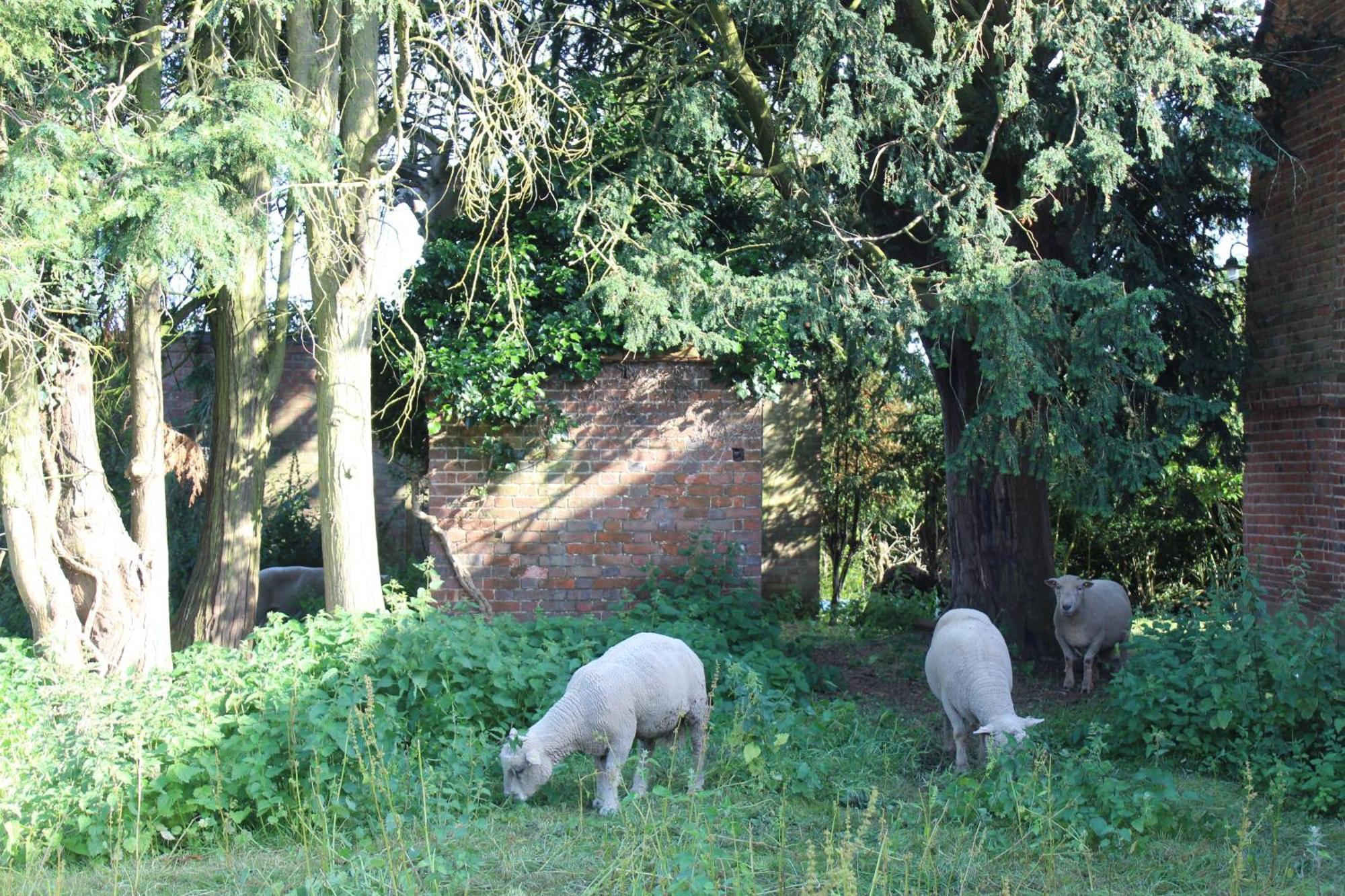 Parkfields Barns Self Catering Accommodation บักกิงแฮม ภายนอก รูปภาพ