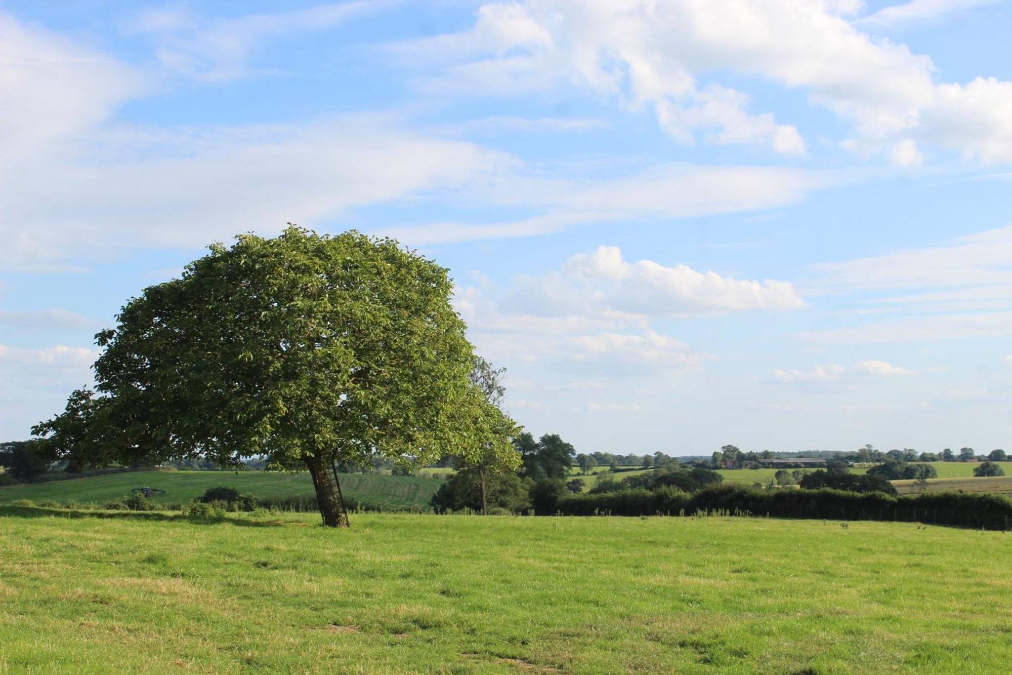 Parkfields Barns Self Catering Accommodation บักกิงแฮม ภายนอก รูปภาพ