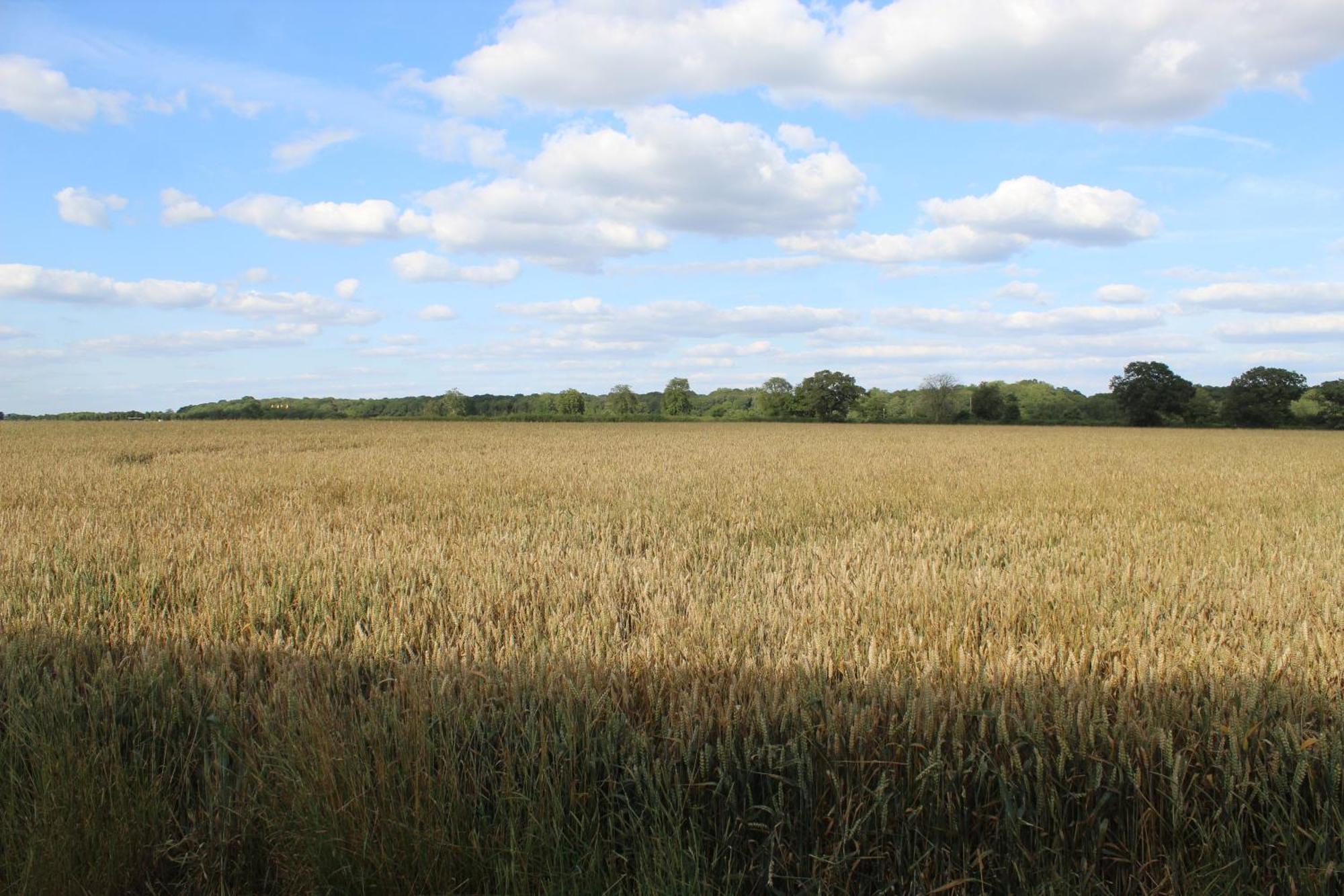 Parkfields Barns Self Catering Accommodation บักกิงแฮม ภายนอก รูปภาพ