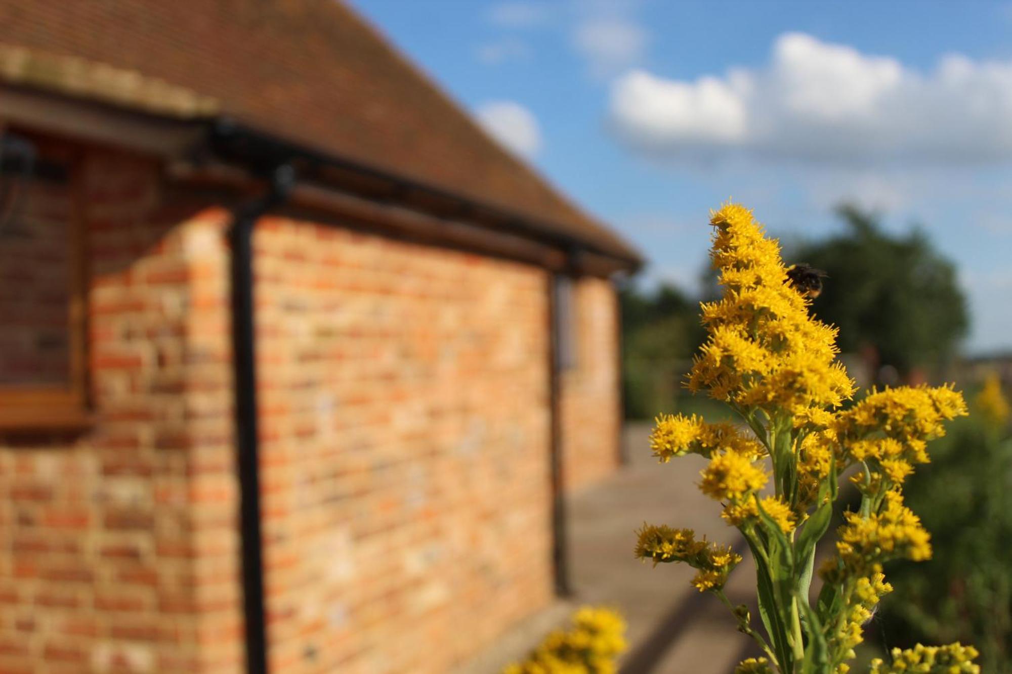 Parkfields Barns Self Catering Accommodation บักกิงแฮม ภายนอก รูปภาพ
